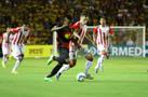Fotos: Sport e Nutico se enfrenta na Ilha pela Copa do Nordeste