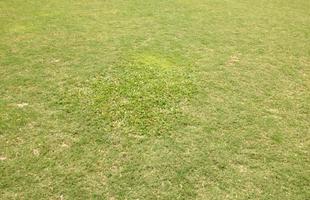 Santa Cruz deve reformar o gramado no ms de outubro, mas ao deve ser apenas paliativa