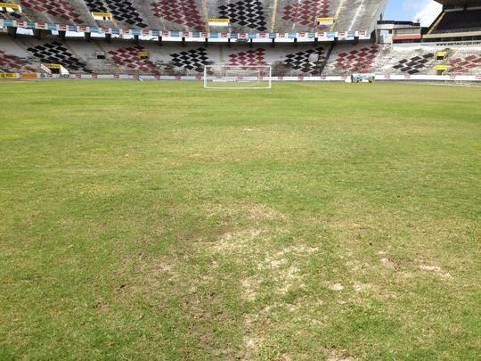 Santa Cruz deve reformar o gramado no ms de outubro, mas ao deve ser apenas paliativa