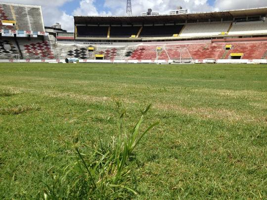 Santa Cruz deve reformar o gramado no ms de outubro, mas ao deve ser apenas paliativa