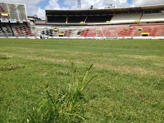 Santa Cruz deve reformar o gramado no ms de outubro, mas ao deve ser apenas paliativa