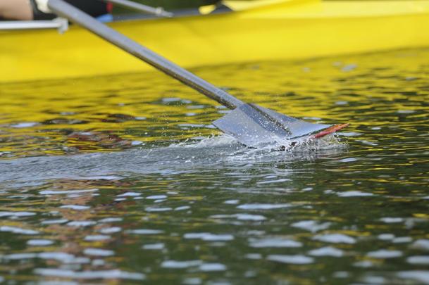 Com 23 pontos  frente do Sport, Nutico busca manter a liderana no Campeonato Pernambucano de Remo