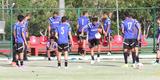 Eduardo Baptista contou com a presen�a dos refor�os Guilherme Andrade e Danilo, que vieram do Corinthians. Ainda foram integrados ao elenco os atletas da base leonina. O goleiro J�lio C�sar, o meia Henrique e o atacante Wallace.