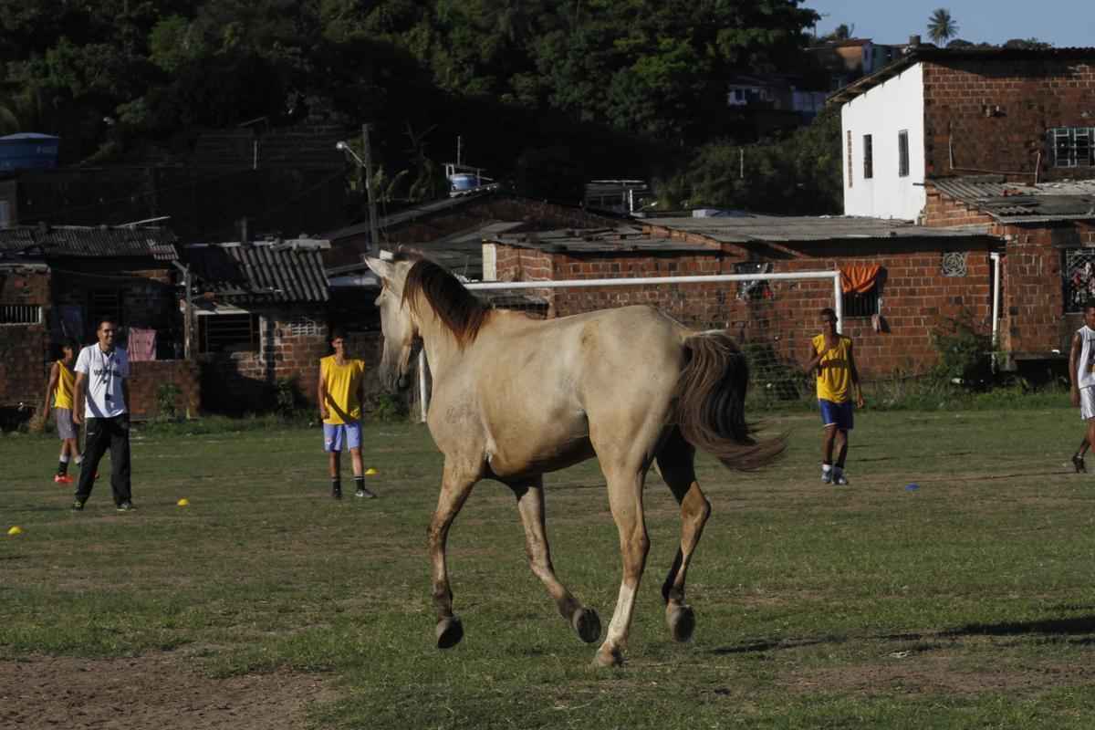 A estrutura do centro de treinamento da base do Santa Cruz. CT precrio est localizado no bairro de Dois Unidos, no Recife