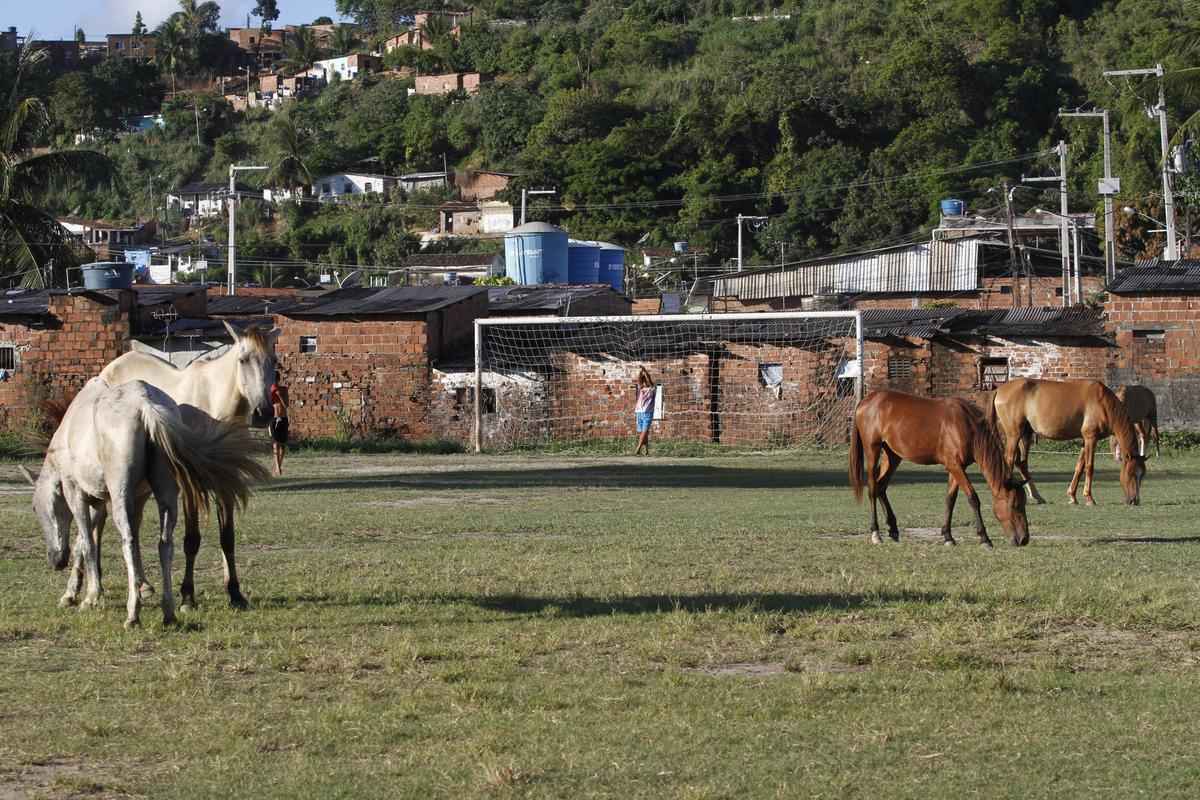 A estrutura do centro de treinamento da base do Santa Cruz. CT precrio est localizado no bairro de Dois Unidos, no Recife