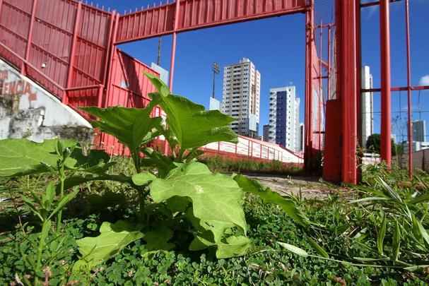 Situação dos Aflitos é de completo abandono. A grama está alta, há buracos e péssimas condições de algumas estruturas