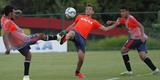 No treino realizado no CT do clube, Eduardo Baptista observou as opes para o jogo contra o Palmeiras, na Arena Pernambuco. As novidades da movimentao foram o atacante lber, que se recupera de leso, e o volante/lateral-direito Ferrugem, mais nova contratao do clube