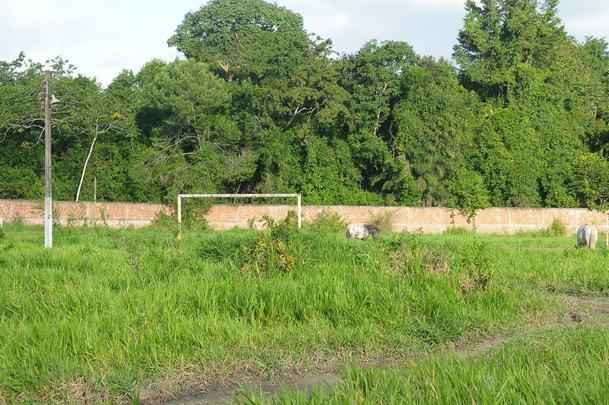 Com jogadores revezando treinos entre Arruda e Ademir Cunha, CT deixou de ser prioridade