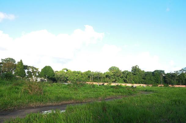 Com jogadores revezando treinos entre Arruda e Ademir Cunha, CT deixou de ser prioridade