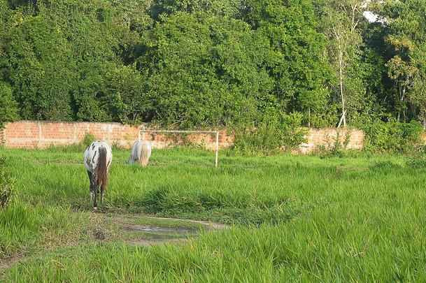 Com jogadores revezando treinos entre Arruda e Ademir Cunha, CT deixou de ser prioridade