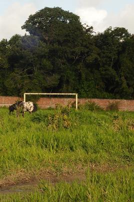 Com jogadores revezando treinos entre Arruda e Ademir Cunha, CT deixou de ser prioridade