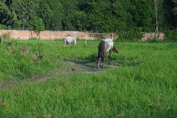 Com jogadores revezando treinos entre Arruda e Ademir Cunha, CT deixou de ser prioridade