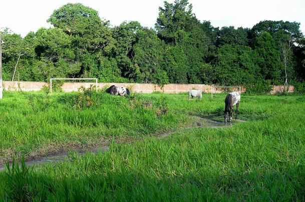 Com jogadores revezando treinos entre Arruda e Ademir Cunha, CT deixou de ser prioridade