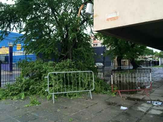 Árvore na entrada do estádio também foi avariada após a chuva
