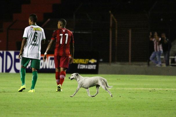 Após um primeiro tempo fraco, Náutico entrou em campo com tudo, abriu o placar e continuou pressionando o América na Ilha do Retiro