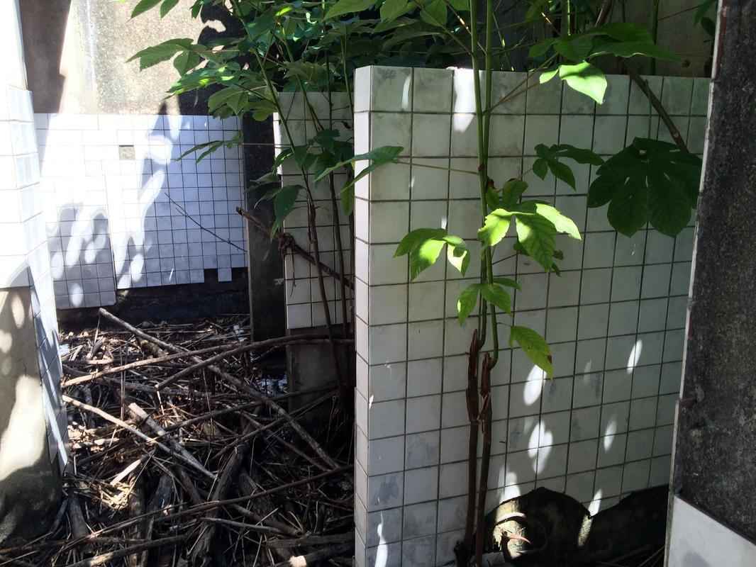 A situao de todos os banheiros  de abandono, sendo necessria uma reforma geral.