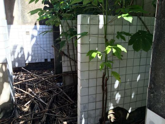 A situao de todos os banheiros  de abandono, sendo necessria uma reforma geral.