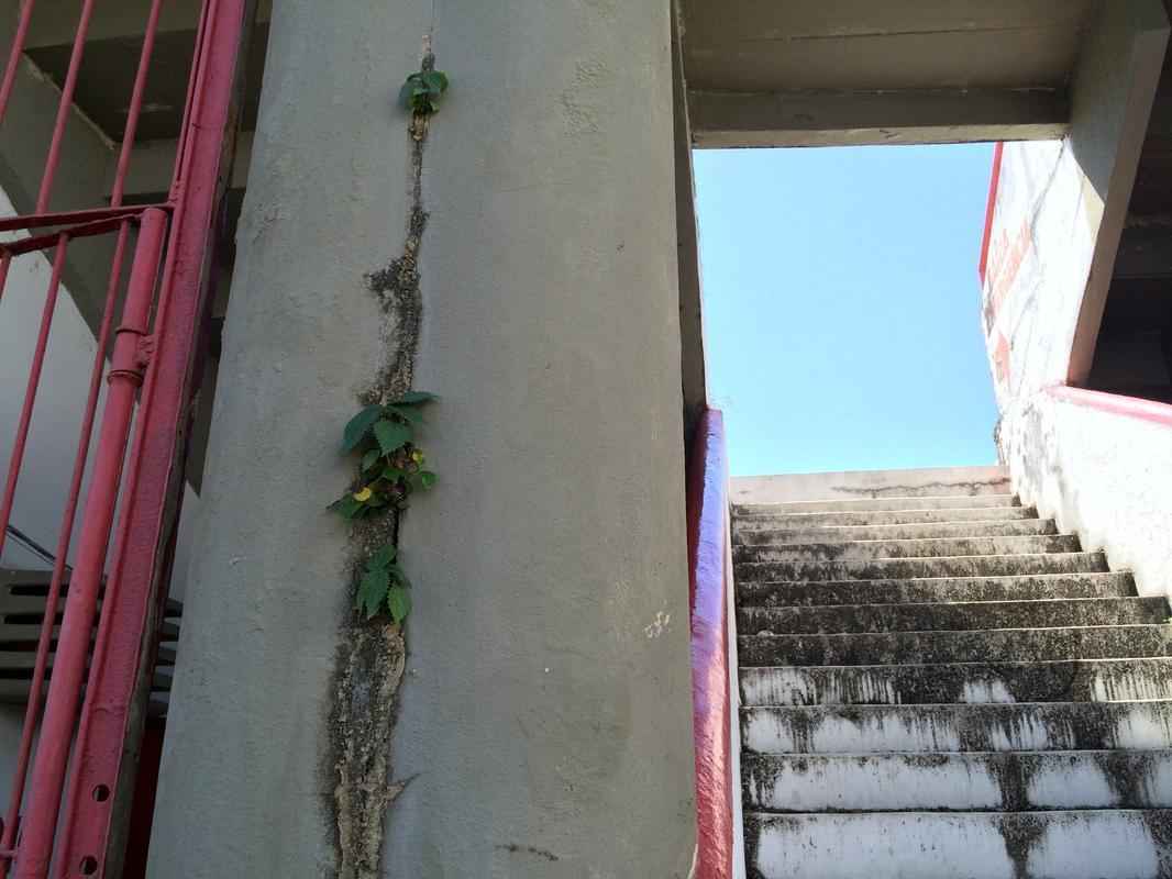 Reforma do estdio  estimada em, no mnimo, R$ 2,5 milhes.