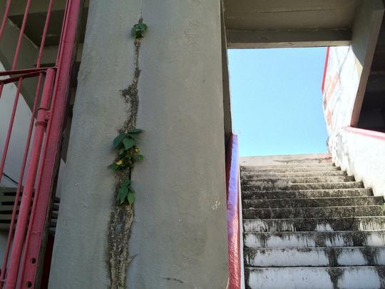 Reforma do estdio  estimada em, no mnimo, R$ 2,5 milhes.