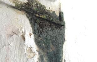 Em todas as partes, h marcas de abandono total. Nas paredes, h muita sujeira nas paredes, lodo e sinais de infiltrao.