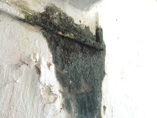 Em todas as partes, h marcas de abandono total. Nas paredes, h muita sujeira nas paredes, lodo e sinais de infiltrao.