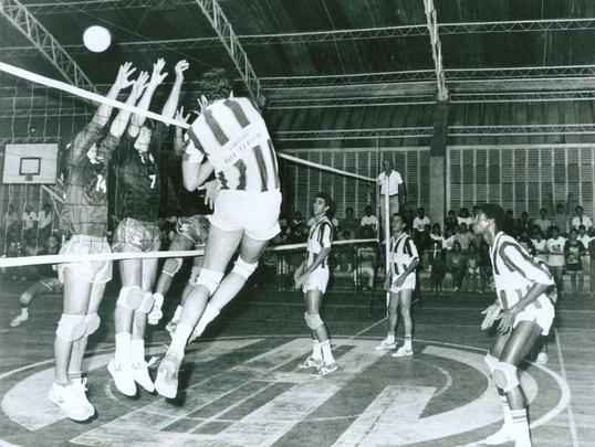 No arquivo fotográfico do Diario de Pernambuco, buscamos fomos históricas de Pampa. Entre os momentos mais marcantes, está a volta do atleta a Pernambuco, após a conquista da medalha de ouro, em Barcelona-1992. Além da festa no aeroporto, teve até desfile em carro do corpo de bombeiros. Foi um dia inesquecível na vida de Pampa