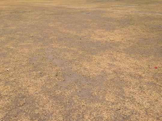 Clube tem investido no reforço da estrutura de concreto armado do estádio. Em paralelo, outras medidas estão sendo planejadas, como a troca do sistema de iluminação e do setor de cadeiras. Quanto ao gramado, último passo da obra, material sintético utilizado na Arena da Baixada agradou a direção