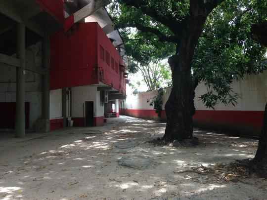 Clube tem investido no reforço da estrutura de concreto armado do estádio. Em paralelo, outras medidas estão sendo planejadas, como a troca do sistema de iluminação e do setor de cadeiras. Quanto ao gramado, último passo da obra, material sintético utilizado na Arena da Baixada agradou a direção