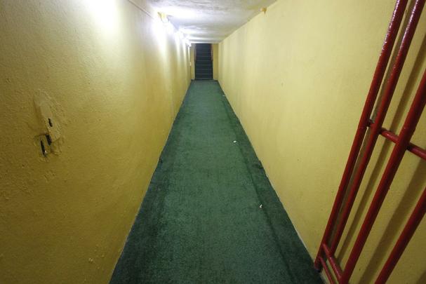 Os túneis de acesso ao gramado dos visitantes (sem grama sintética) e dos mandantes (com a grama), bem como o de imprensa e arbitragem, também passaram por uma recente reforma para evitar os constantes alagamentos. A intenção do clube é aprimorar ainda mais o corredor, porém um problema ainda precisa ser solucionado: a umidade do local. Segundo a engenharia, as bombas d'água são mantidas porque o túnel é inferior ao nível do rio Capibaribe e, quando ele enche, o local sofre com a água. A ideia, após a solução, é adesivar todos os túneis