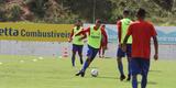 Timbu trabalhou no CT Wilson Campos visando jogo contra o Internacional, �s 16h30 do pr�ximo s�bado, no est�dio Beira-Rio