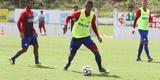 Timbu trabalhou no CT Wilson Campos visando jogo contra o Internacional, �s 16h30 do pr�ximo s�bado, no est�dio Beira-Rio