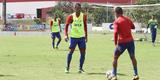 Timbu trabalhou no CT Wilson Campos visando jogo contra o Internacional, �s 16h30 do pr�ximo s�bado, no est�dio Beira-Rio