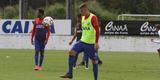 Timbu trabalhou no CT Wilson Campos visando jogo contra o Internacional, �s 16h30 do pr�ximo s�bado, no est�dio Beira-Rio