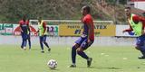 Timbu trabalhou no CT Wilson Campos visando jogo contra o Internacional, �s 16h30 do pr�ximo s�bado, no est�dio Beira-Rio