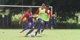 Timbu trabalhou no CT Wilson Campos visando jogo contra o Internacional, �s 16h30 do pr�ximo s�bado, no est�dio Beira-Rio