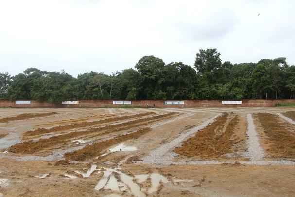 Centro de Treinamento Ninho das Cobras est saindo do papel graas, quase que exclusivamente, a doaes de torcedores.