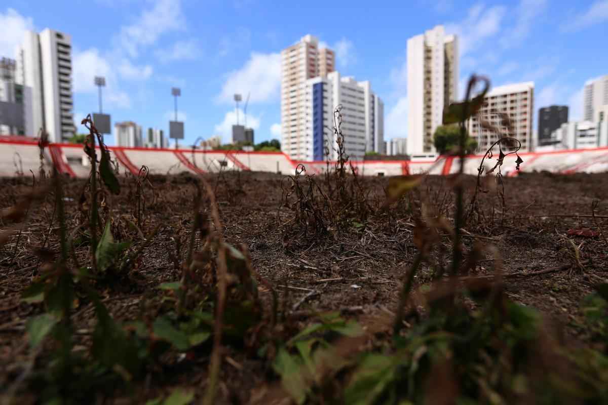 Previso da diretoria alvirrubra  que novo gramado do estdio fique pronto at o prximo ms de novembro