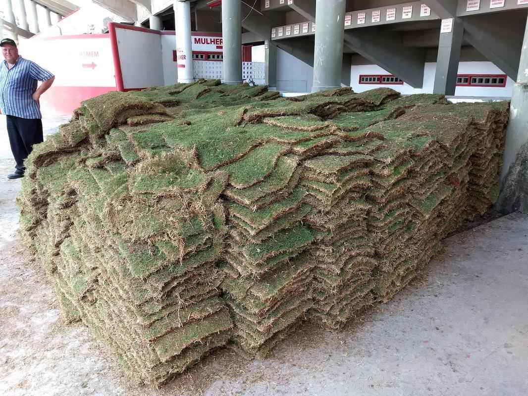 Nesta sexta-feira foram descarregados o dois primeiros caminhes no total de dez que chegaro at o prximo domingo. Com a drenagem finalizada, a adubao foi iniciada e o plantio deve comear j neste sbado, com aes voltadas para o torcedor alvirrubro.