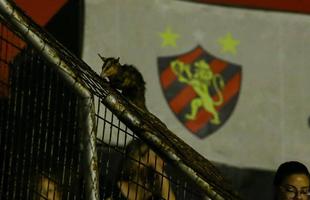 Com Ilha do Retiro �s moscas para a disputa do terceiro lugar do Campeonato Pernambucano, o Sport recebeu o Salgueiro na noite desta segunda-feira, para uma partida de poucas emo��es