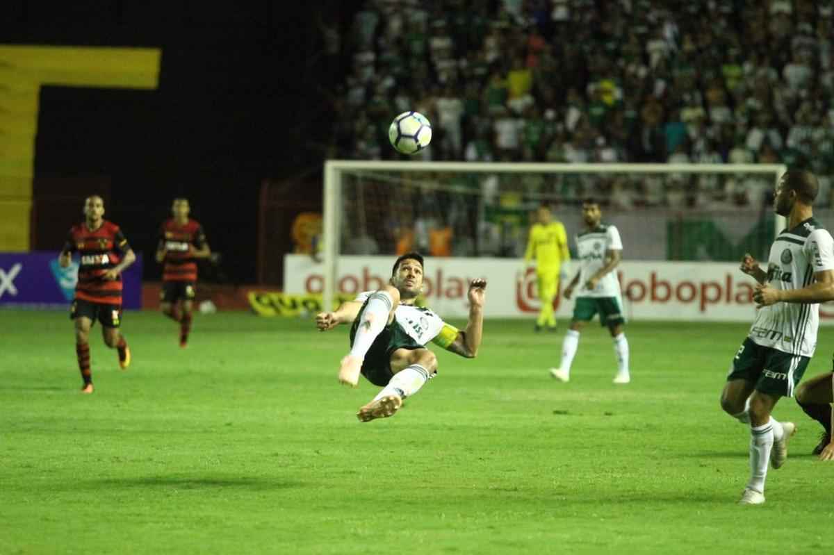 Pressionado pela zona de rebaixamento, Sport recebe Palmeiras pela 26 rodada do Brasileiro