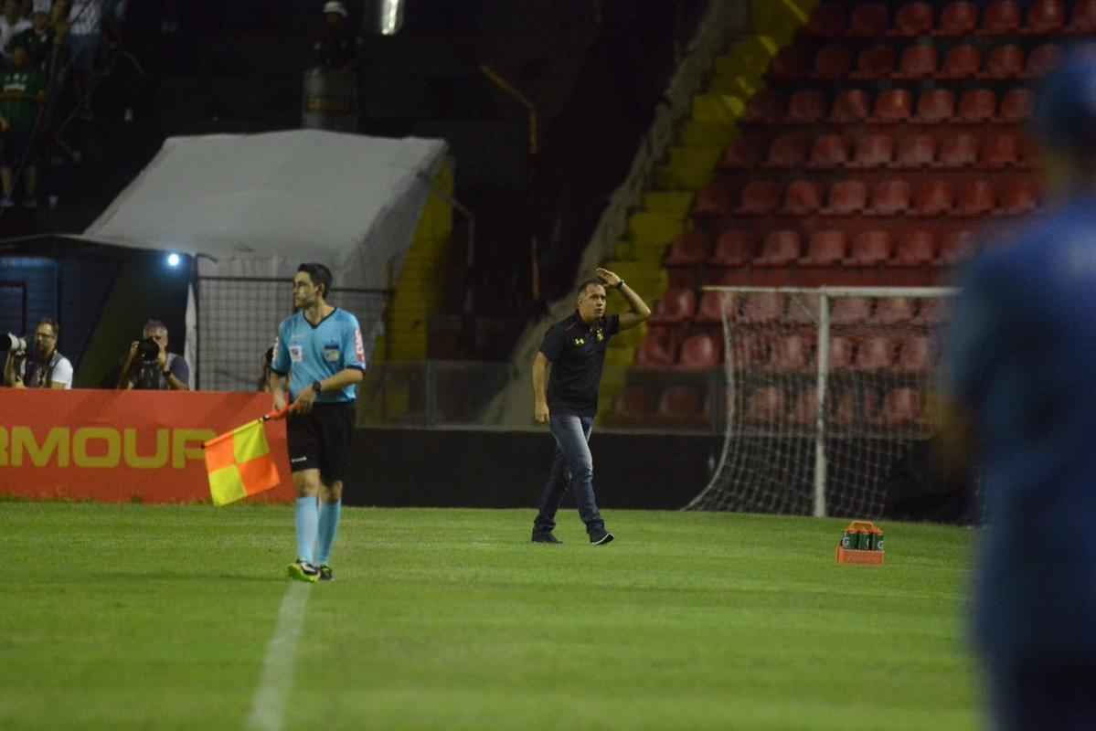 Pressionado pela zona de rebaixamento, Sport recebe Palmeiras pela 26 rodada do Brasileiro