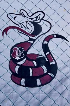 Em dia festivo e com a presença de torcedores, Santa Cruz inaugura primeiro campo do seu CT