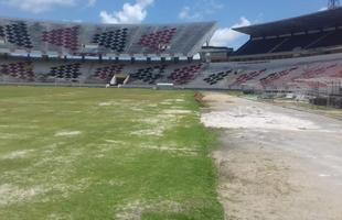 Diretoria coral gastou cerca de R$ 200 mil na reforma do gramado e espera concluir obra at a partida contra o Bahia, no dia 26 de janeiro