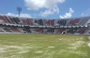 Diretoria coral gastou cerca de R$ 200 mil na reforma do gramado e espera concluir obra at a partida contra o Bahia, no dia 26 de janeiro