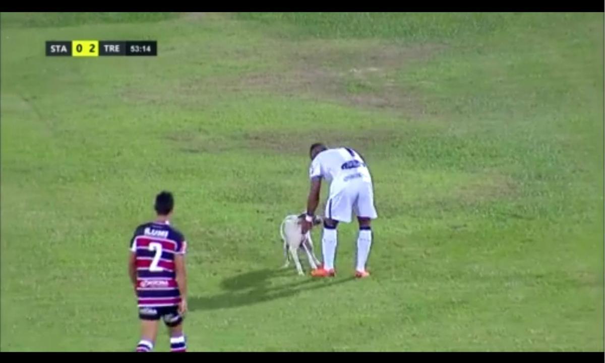 Cachorro invadiu o campo durante o segundo tempo da partida entre Santa Cruz e Treze-PB