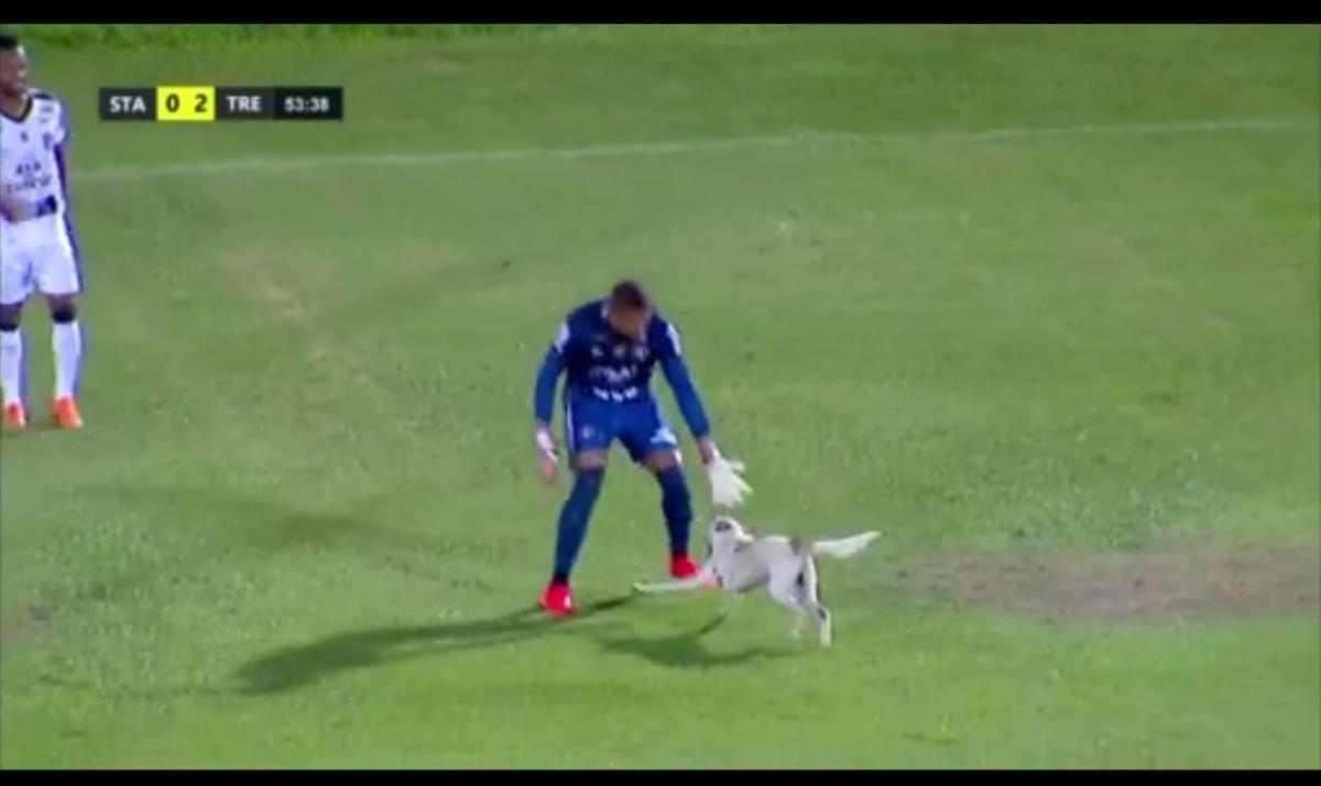 Cachorro invadiu o campo durante o segundo tempo da partida entre Santa Cruz e Treze-PB