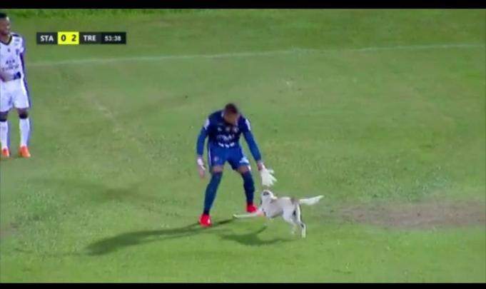 Cachorro invadiu o campo durante o segundo tempo da partida entre Santa Cruz e Treze-PB