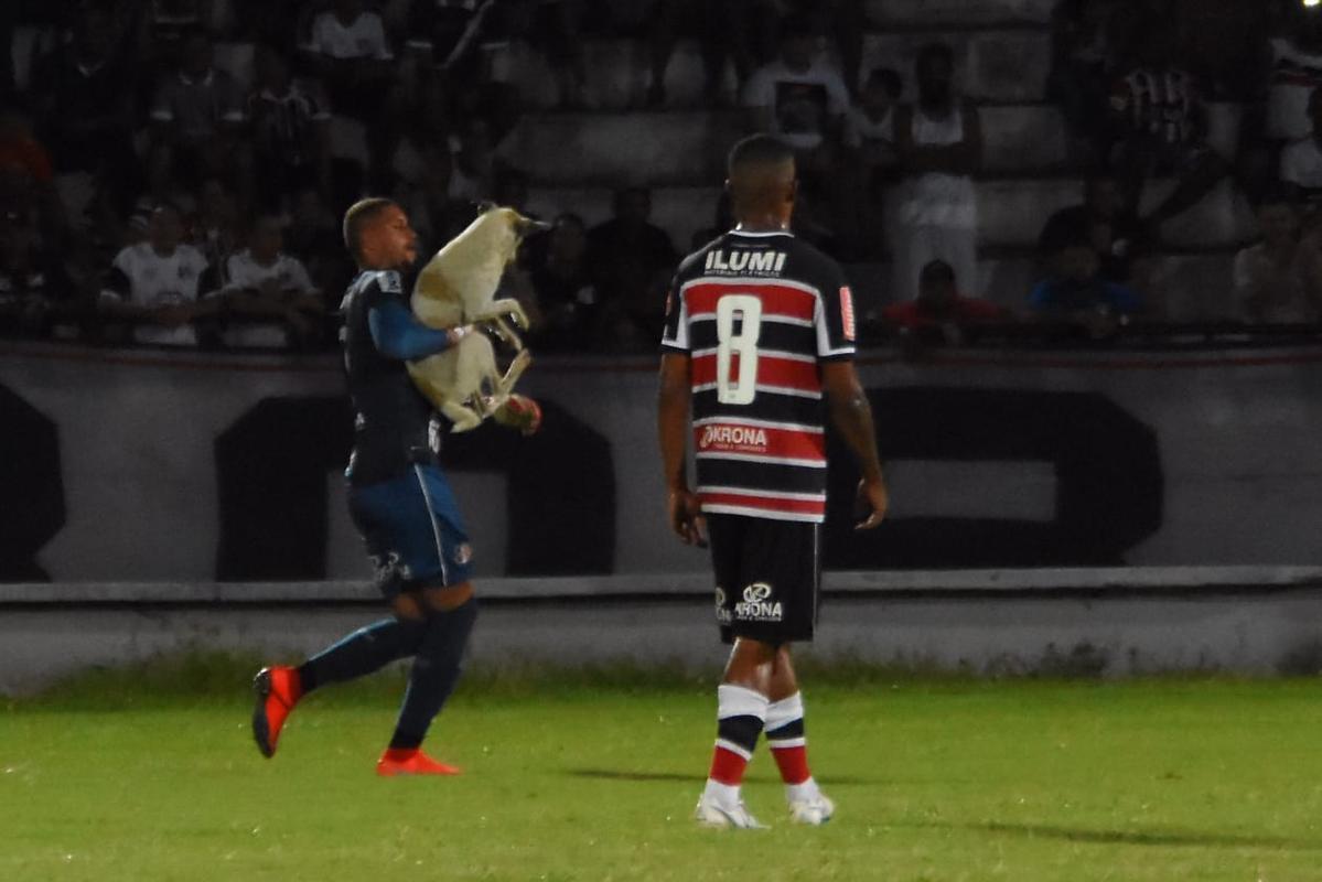 Cachorro invadiu o campo durante o segundo tempo da partida entre Santa Cruz e Treze-PB
