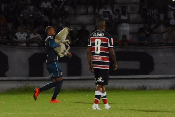 Cachorro invadiu o campo durante o segundo tempo da partida entre Santa Cruz e Treze-PB