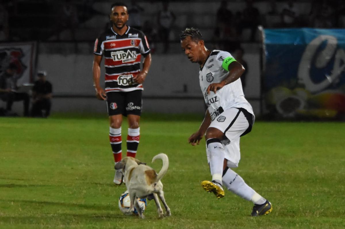 Cachorro invadiu o campo durante o segundo tempo da partida entre Santa Cruz e Treze-PB
